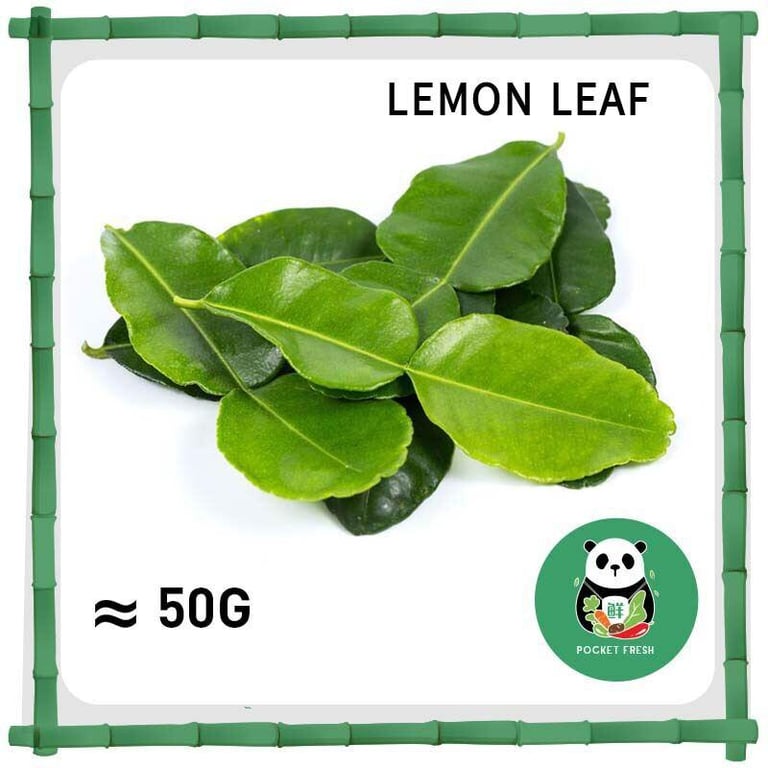 Lime Leaf 柠檬叶