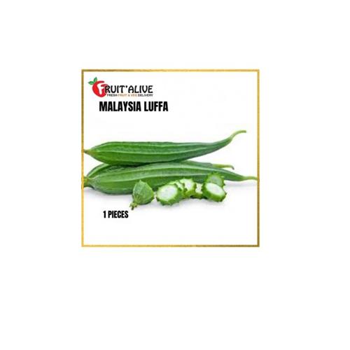 LUFFA FROM MALAYSIA 5000GM-600GM (VEGETABLE)