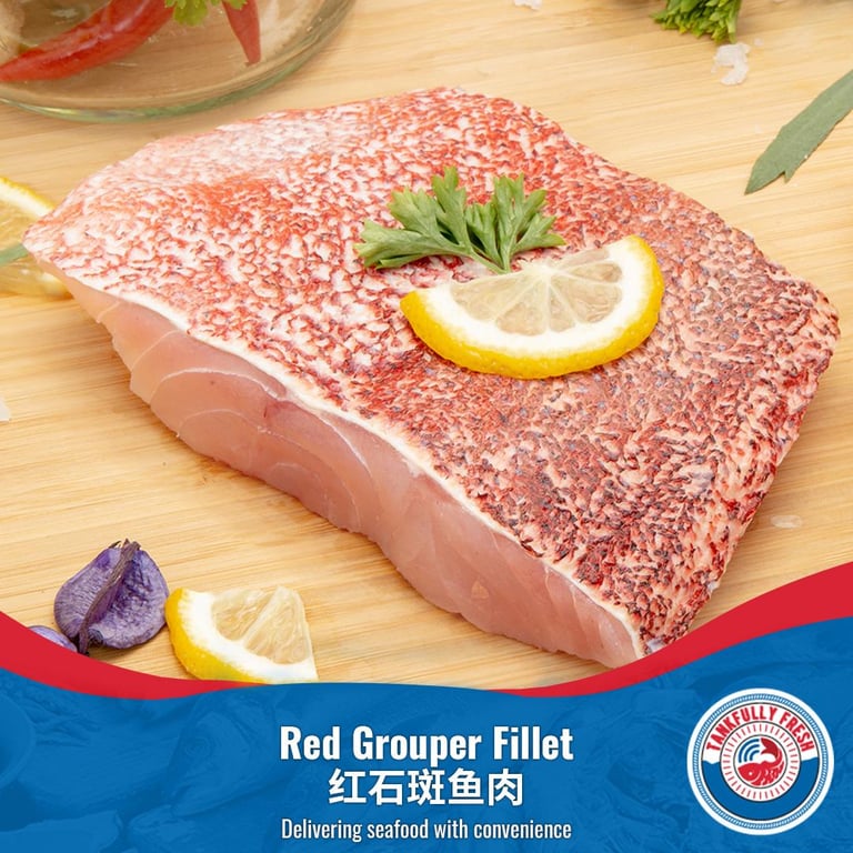 [Tankfully Fresh] Fresh Red Grouper Fillet 红石斑鱼肉 (250g-300g)