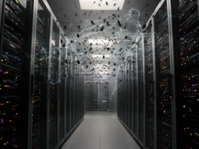 Anthropic CEO warns of AI‑driven botnet 'swarm' taking over the entire internet