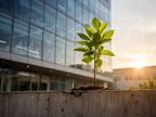 BPD Health Unveils New Brand Platform, "It’s Good to Grow"