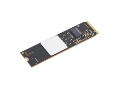 ThinkPad 256GB Value PCIe Gen4 NVMe OPAL 2.0 M.2 2280 SSD III