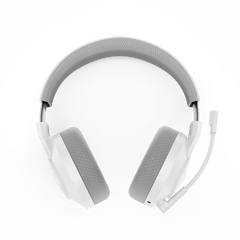Lenovo Legion H600 Wireless Gaming Headset(Stingray)