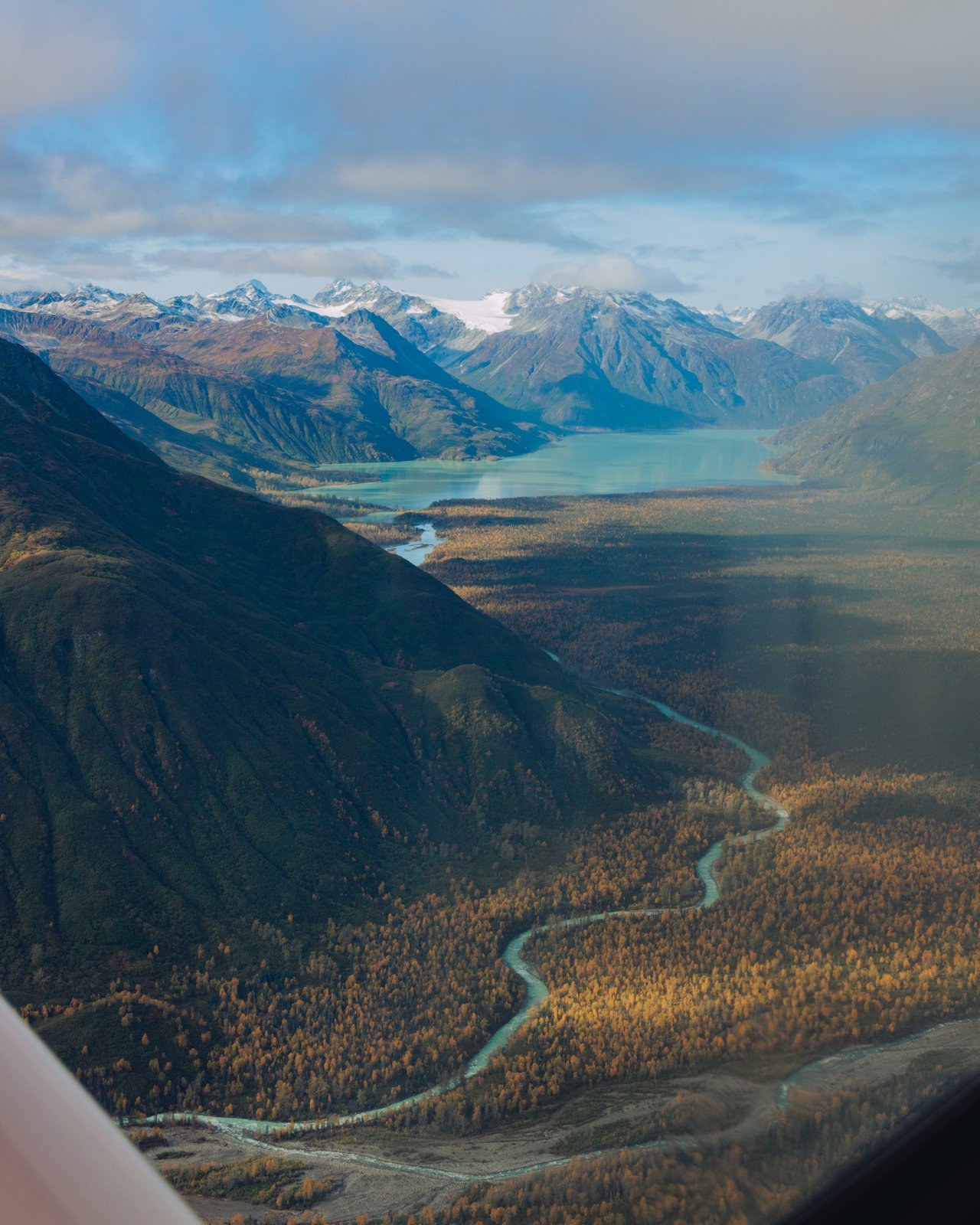 A calm lake mirroring the mountains, a lone spruce on the shore, Alaska