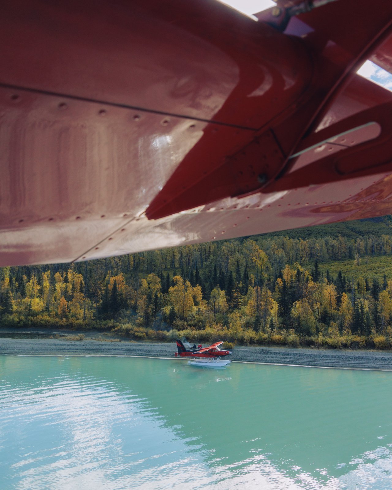 An aerial of a river meandering through golden autumn tundra, Alaska