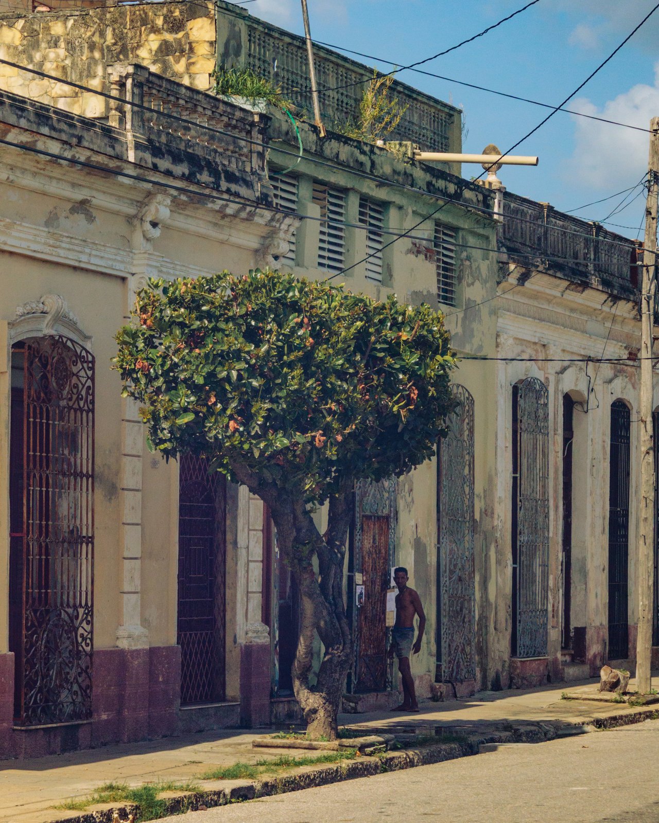 A Trinidad street of pastel houses with a clipped topiary tree, a man in a doorway, Cuba