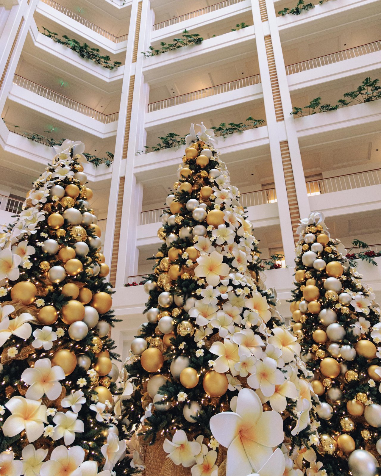 The resort atrium with tall gold-and-white Christmas trees and plumeria, balconies rising above, Four Seasons Oʻahu
