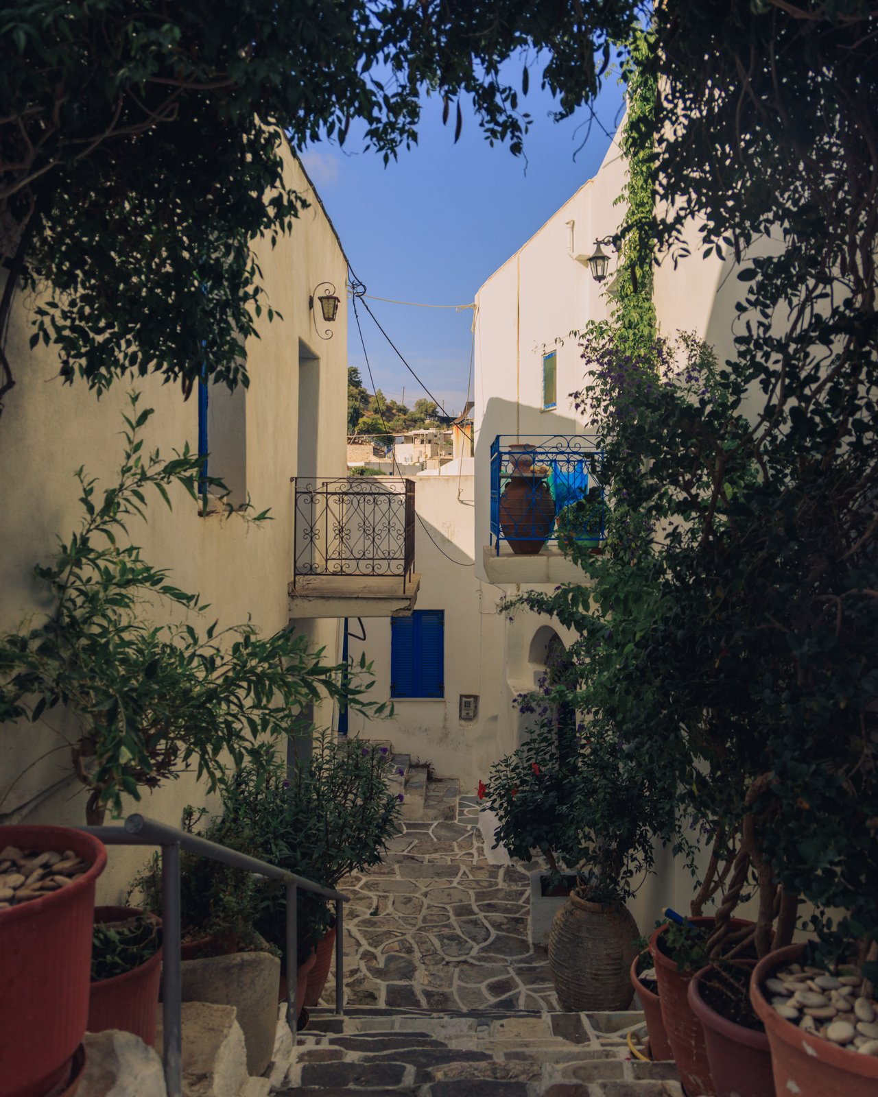 A stepped alley under a leafy arch with potted plants and a blue-balconied house, Greece