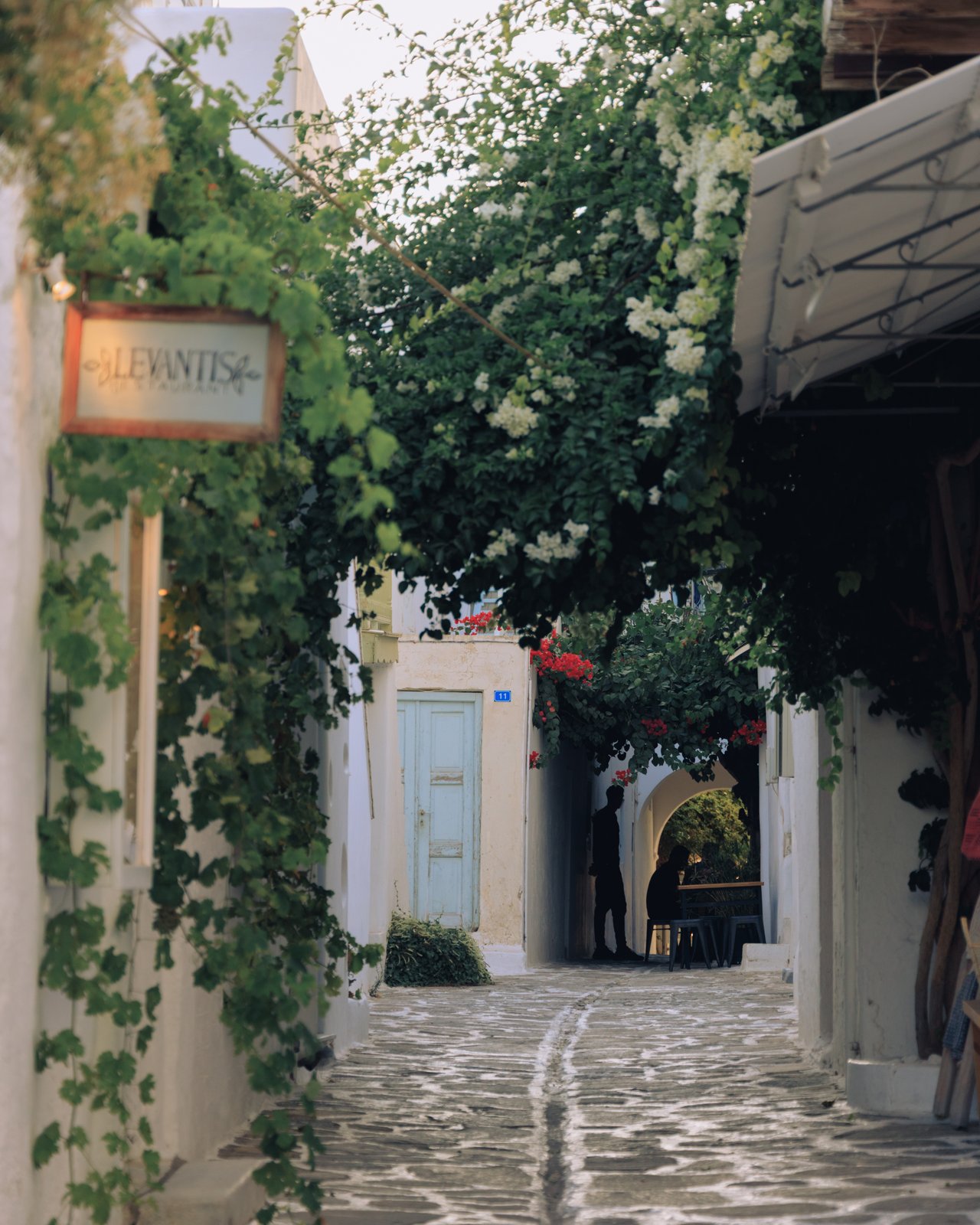 A whitewashed alley under a leafy vine with a 'Levantis' sign, Paros, Greece