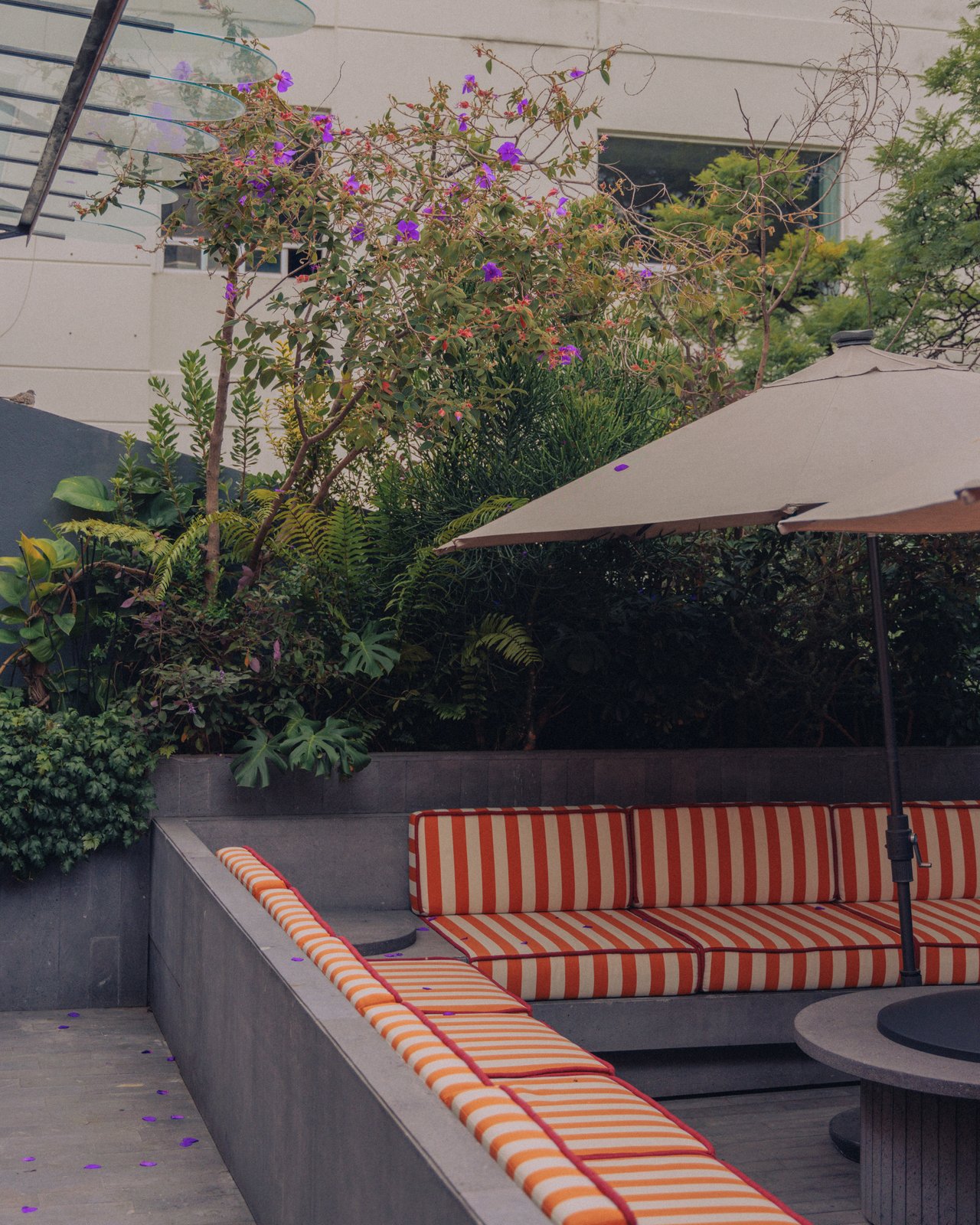 A rooftop terrace with a striped banquette, umbrella and bougainvillea, Ignacia Guest House