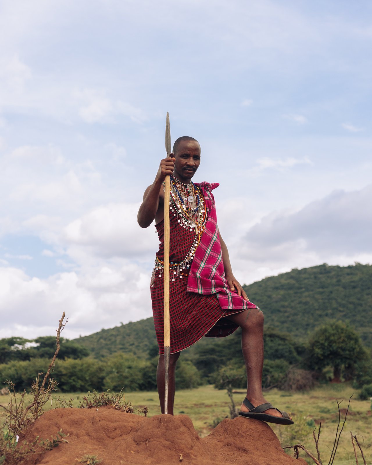 A Maasai man in a red shuka with a staff standing beneath a large acacia, Kenya