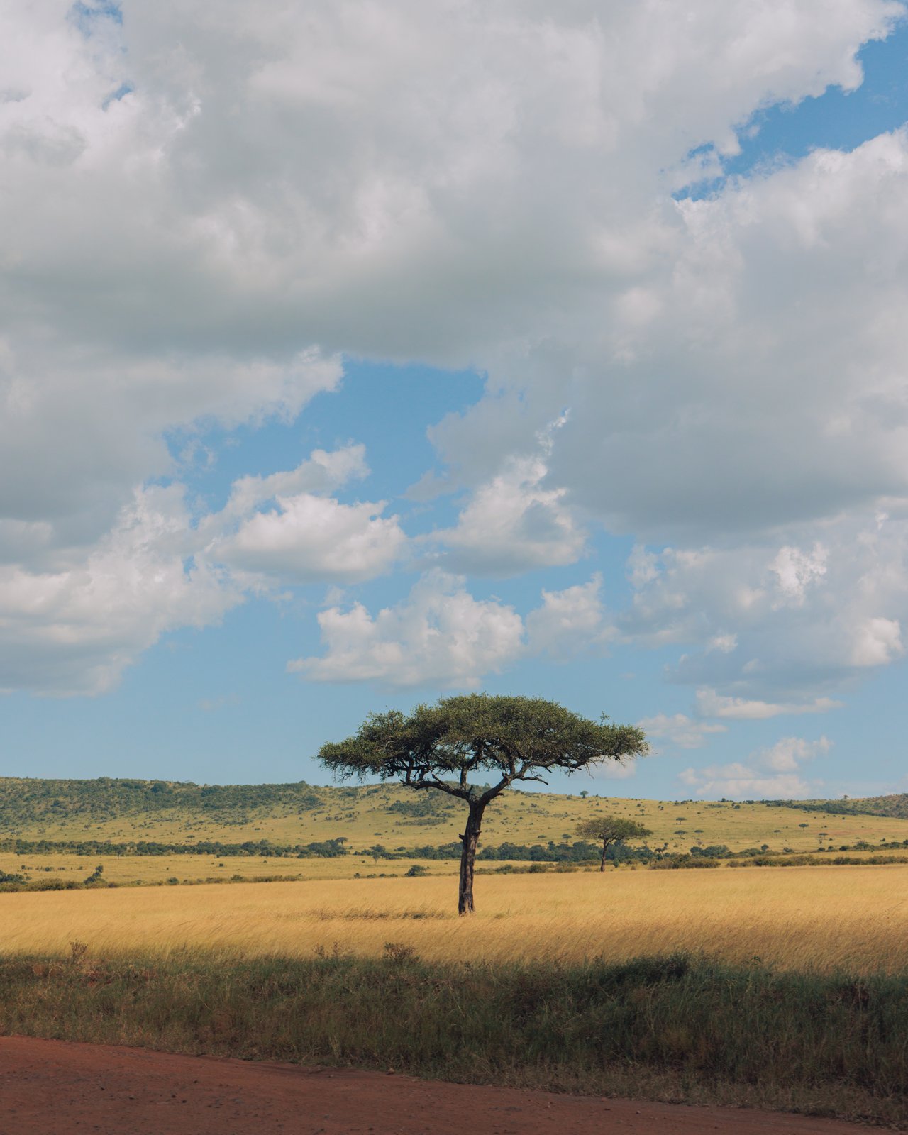 Two men sitting in the shade of trees by a fenced compound wall, Kenya
