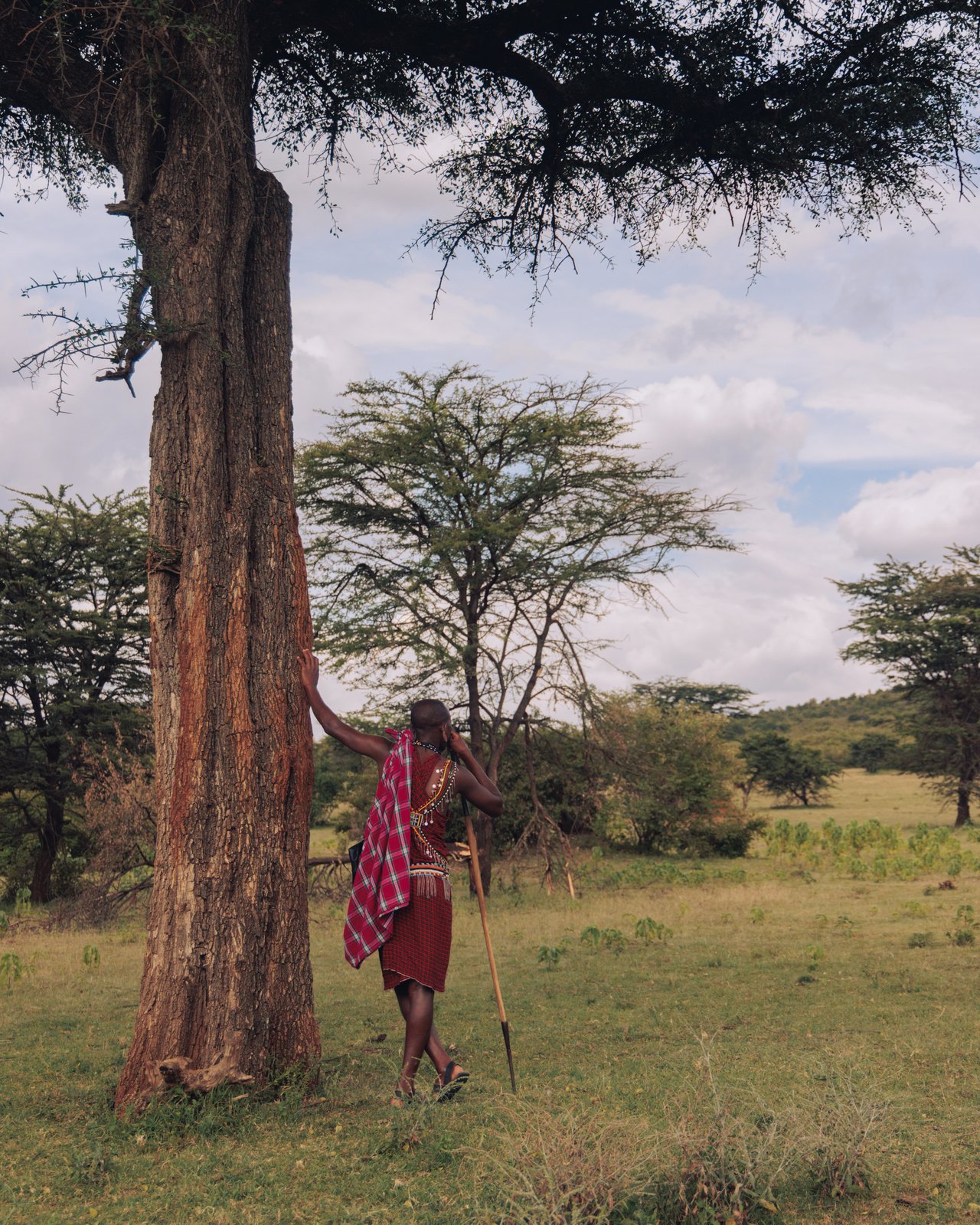 A lush lodge garden of palms and banana plants with wire furniture, Kenya