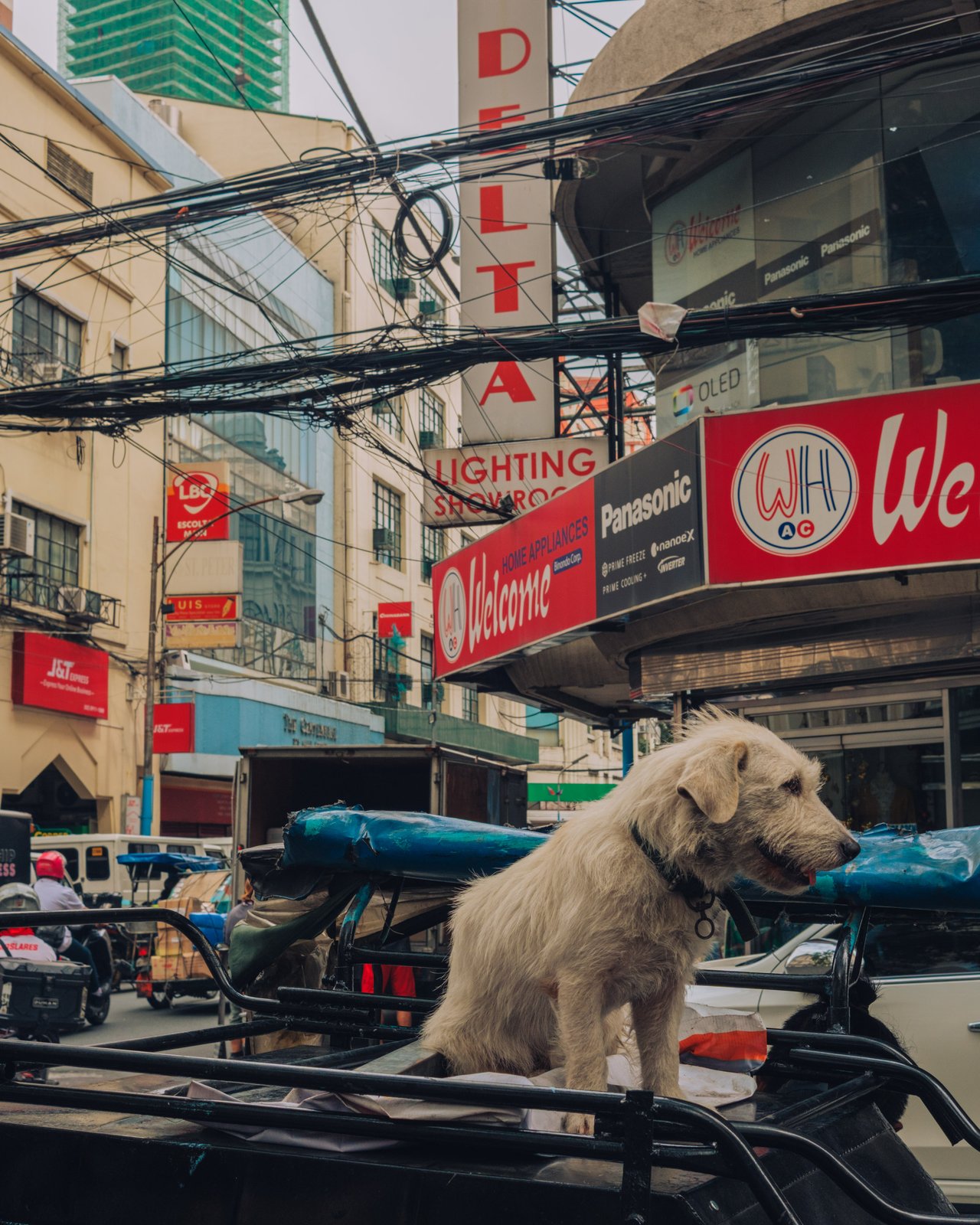 A white dog perched on the back of a jeepney below 'Delta Lighting' shop signs, Manila