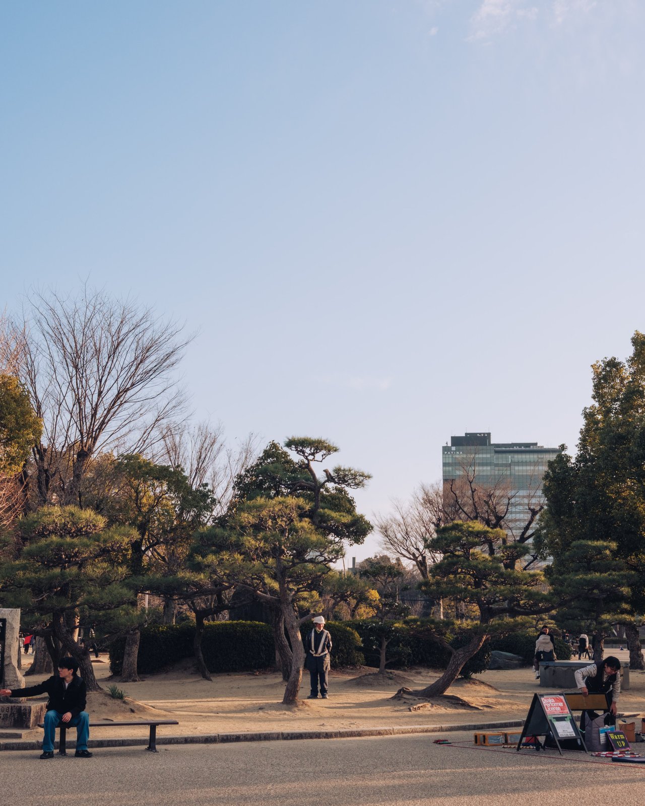 Pine trees in Osaka Castle Park at golden hour, Osaka
