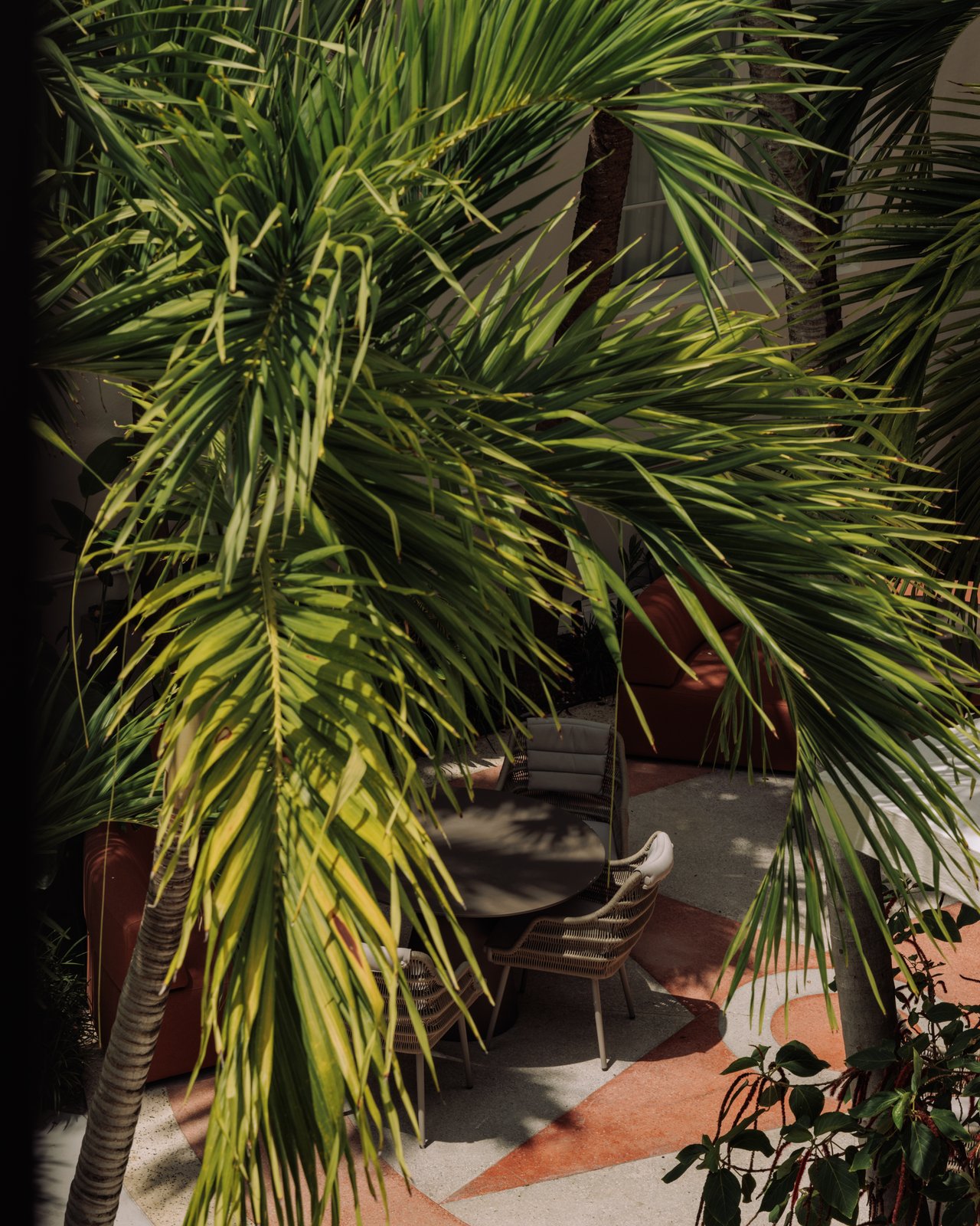 Palms and lounge chairs in the hotel courtyard, The Balfour Hotel, Miami Beach