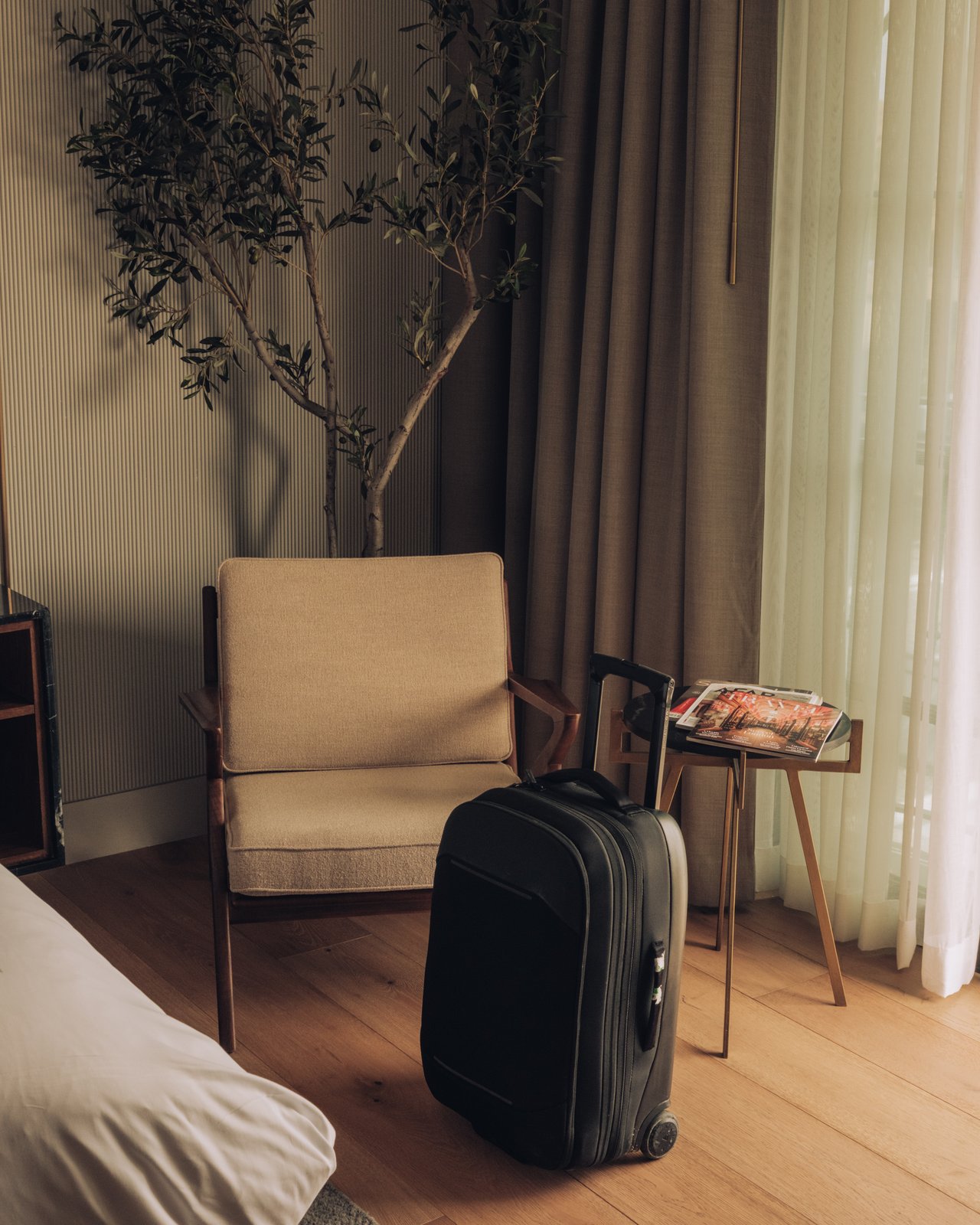 A guest-room corner with an armchair, an olive tree and a suitcase by the bed