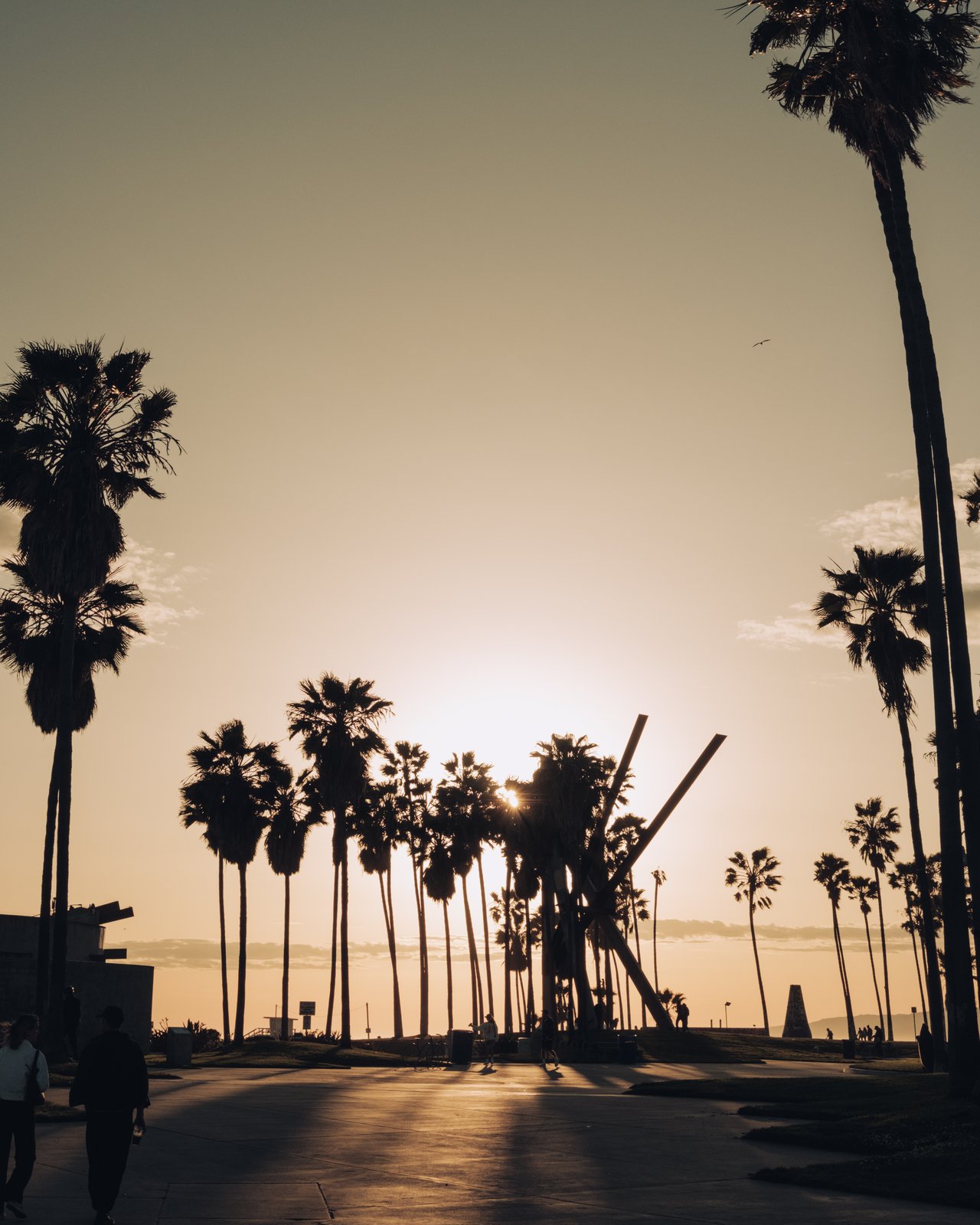 Palms and the kinetic sculpture silhouetted against the Venice Beach sunset