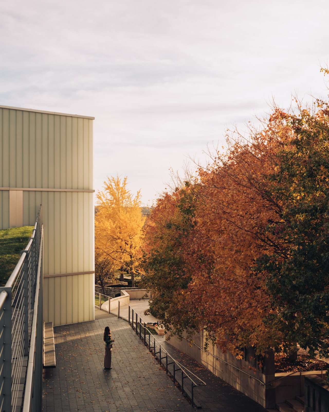 A glowing glass lens of the Bloch Building amid autumn trees, Nelson-Atkins, Kansas City