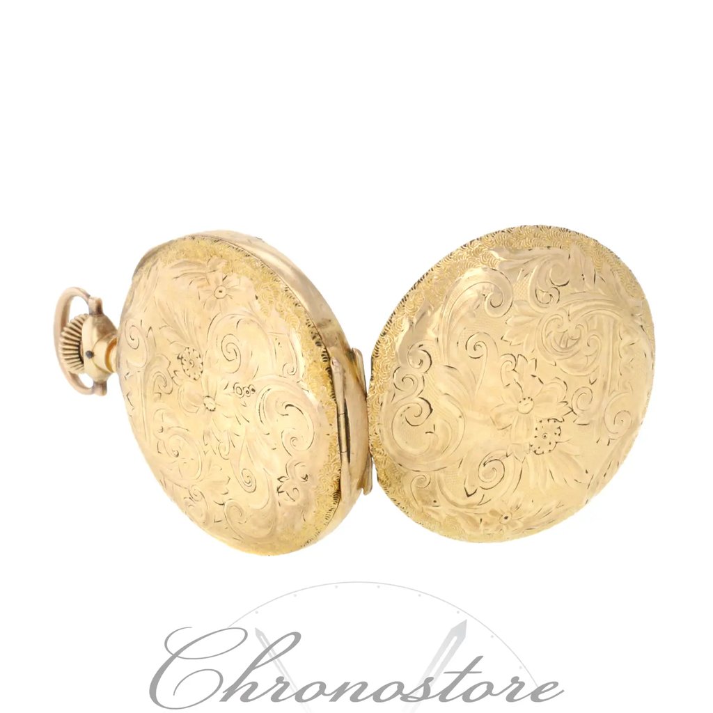 Back View Of {Caseback} Back Case And Closed {Band Material} Band Of Hampden N/A Watch Pre Owned Condition