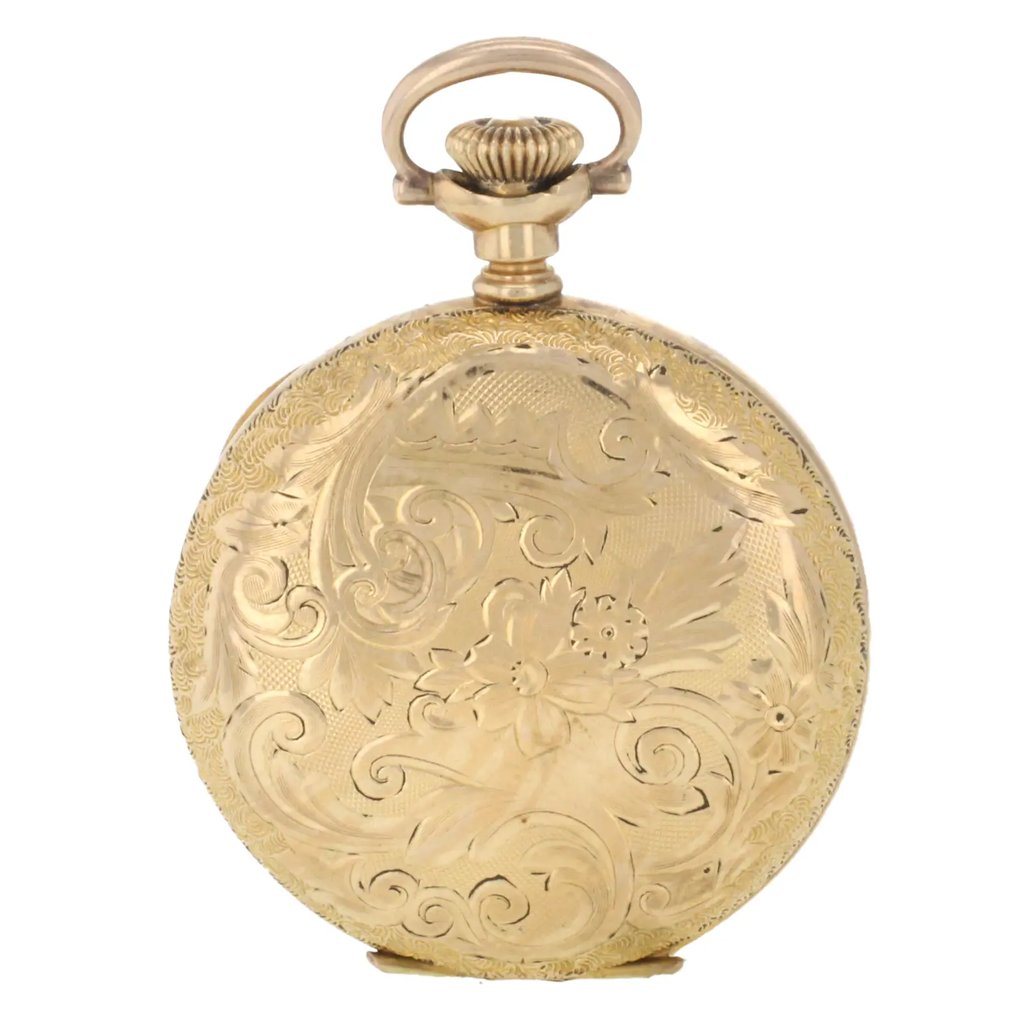 Back View Of {Caseback} Back Case And Closed {Band Material} Band Of Hampden N/A Watch Pre Owned Condition