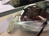 5th image of OMEGA 431.10.42.51.02.001 Wristwatch, Unworn condition