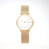 1st image of Skagen Skagen Signatur Wristwatch, PreOwned condition