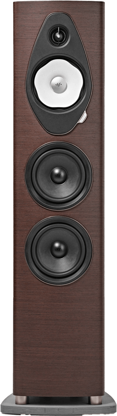 Frontansicht des Sonus faber Sonetto V G2 Standlautsprechers in Walnuss-Finish.
