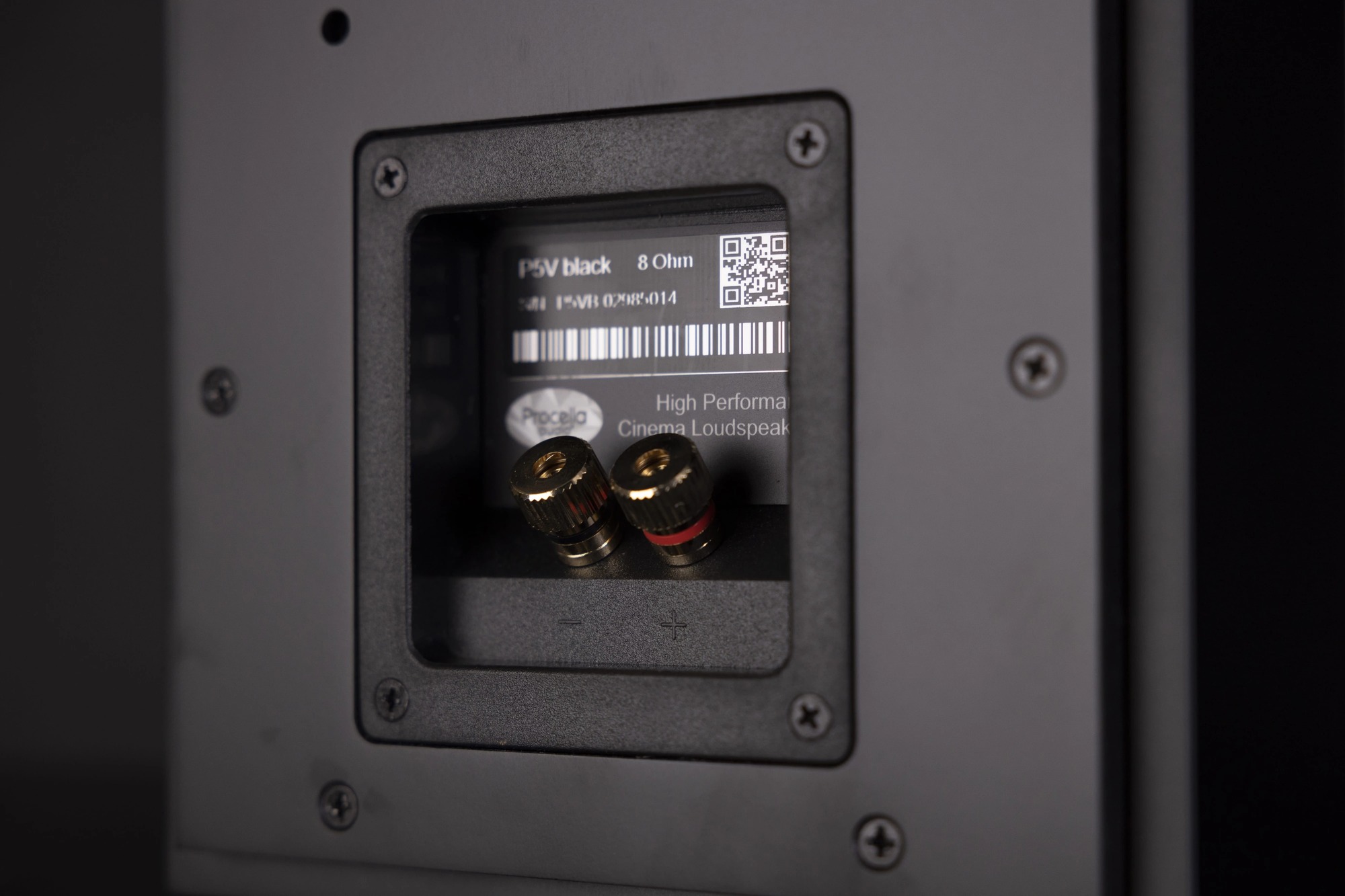 Nahaufnahme der Rückseite des Procella Audio P5V mit Anschlussklemmen.