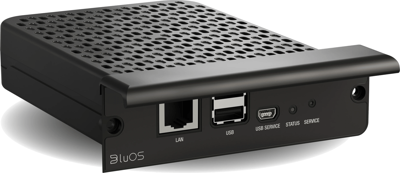 Rückansicht des DALI BluOS NPM-2i Moduls mit LAN- und USB-Anschlüssen.