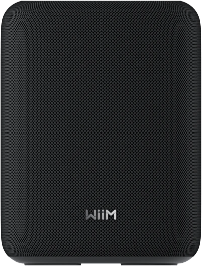 WiiM Sound Lite