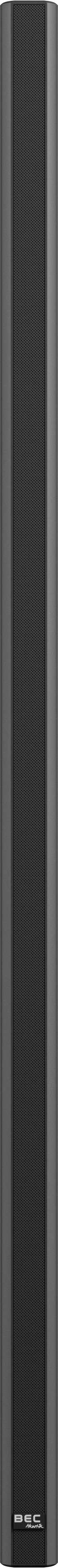 Frontalansicht des ultraflachen Lautsprechers BEC IC100 EVO in Schwarz.