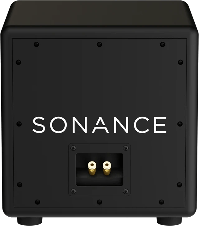 Rückansicht des Sonance PPX8-STR Subwoofers mit sichtbaren Anschlussports.