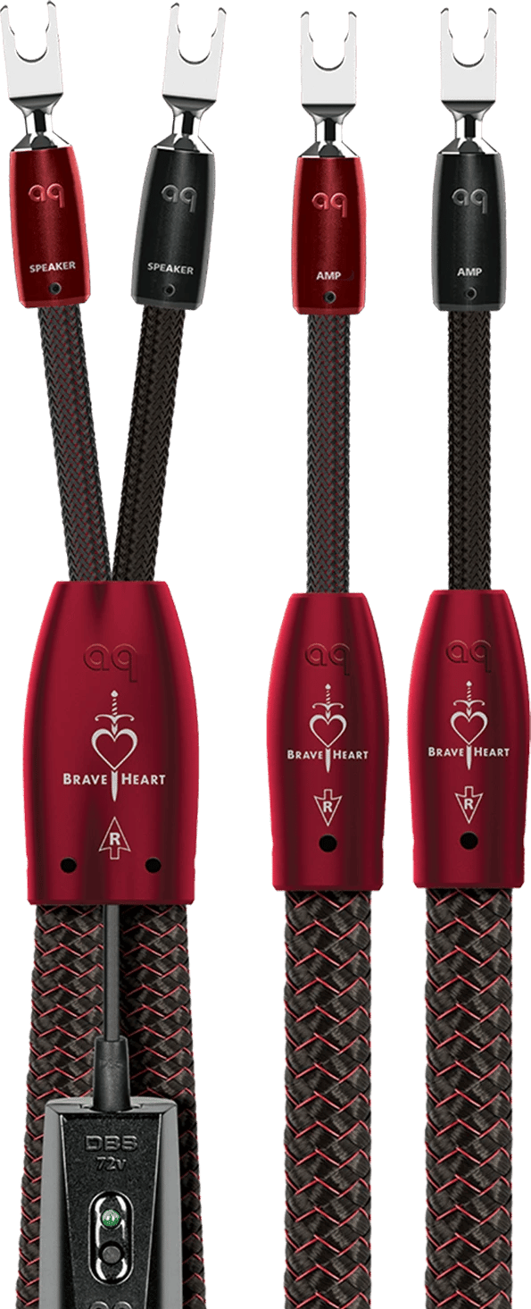 AudioQuest BraveHeart