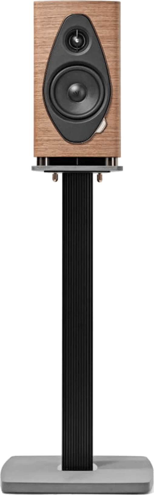 Frontansicht des Sonus faber Sonetto I G2 Regallautsprechers in Walnuss-Finish.