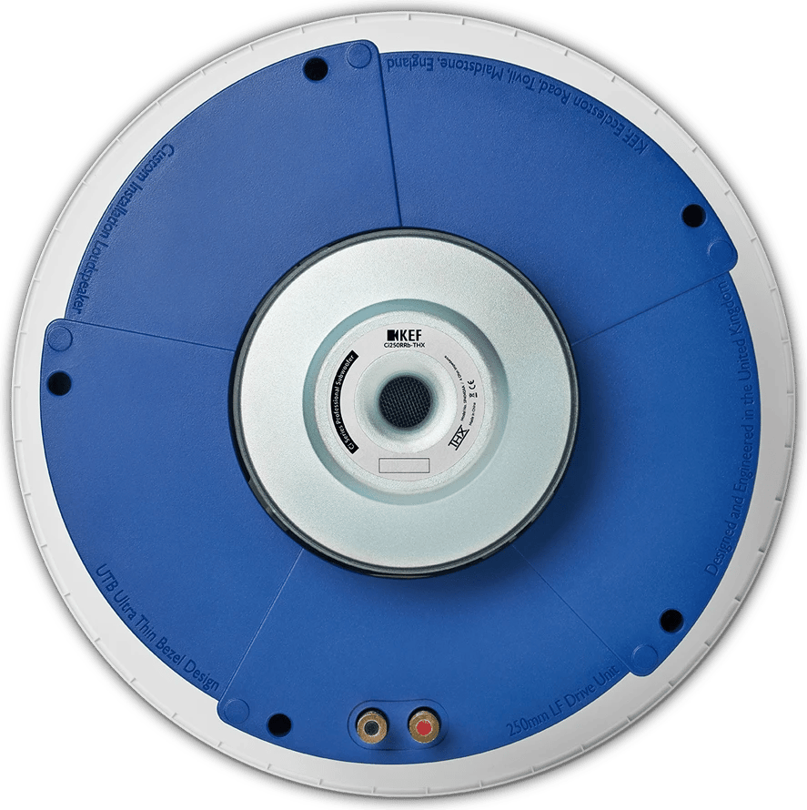 Rückansicht des KEF Ci250RRb-THX in Blau mit sichtbaren Anschlüssen.
