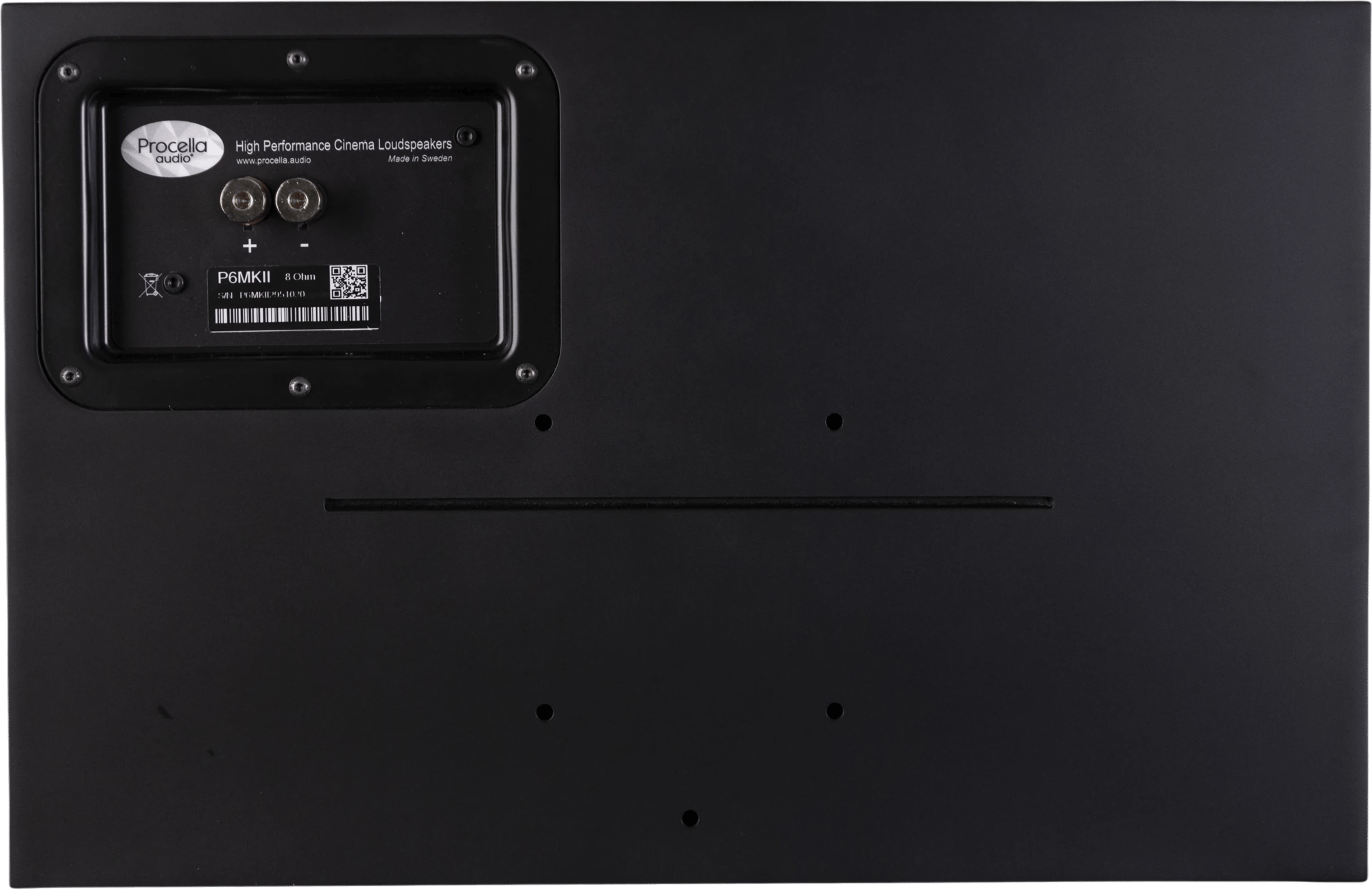 Rückansicht des Procella Audio P6 Mk2 Lautsprechers mit sichtbaren Anschlüssen.