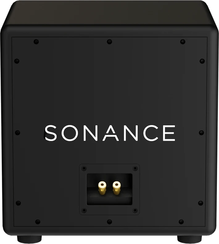 Rückansicht des Sonance PPX10 Subwoofers, Anschlüsse sichtbar.