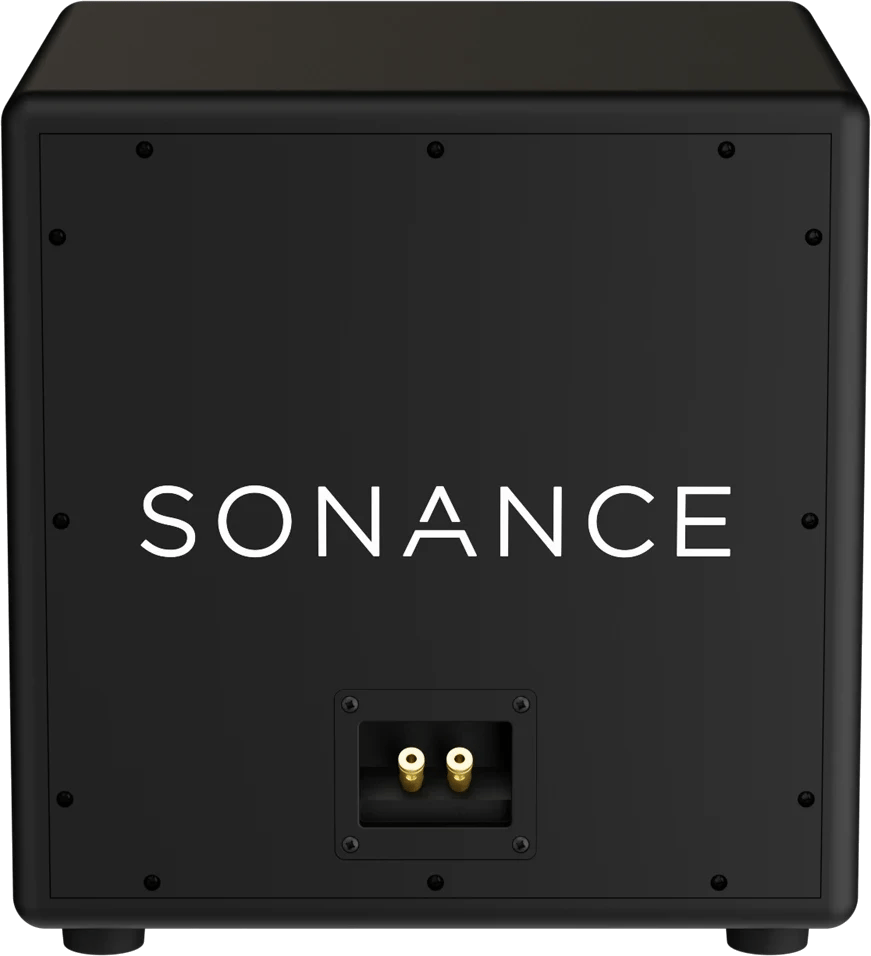 Rückansicht des Sonance PPX12 Subwoofers mit Anschlussports.
