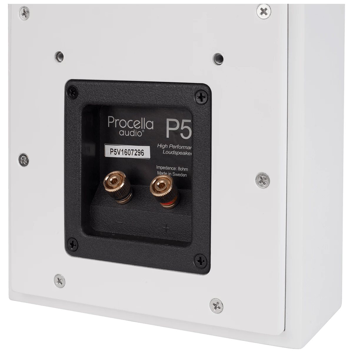 Rückansicht des Procella Audio P5 Lautsprechers mit Anschlüssen.