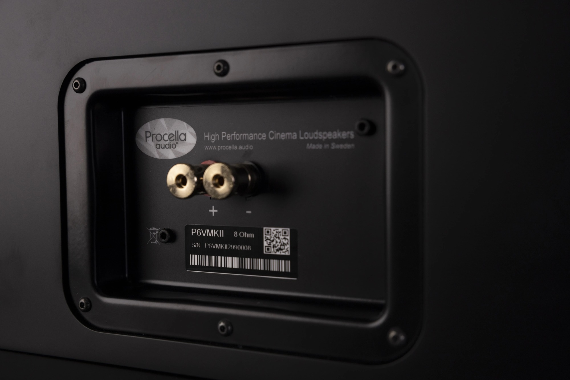 Rückansicht des Procella Audio P6V Mk2 Lautsprechers mit Anschlüssen.