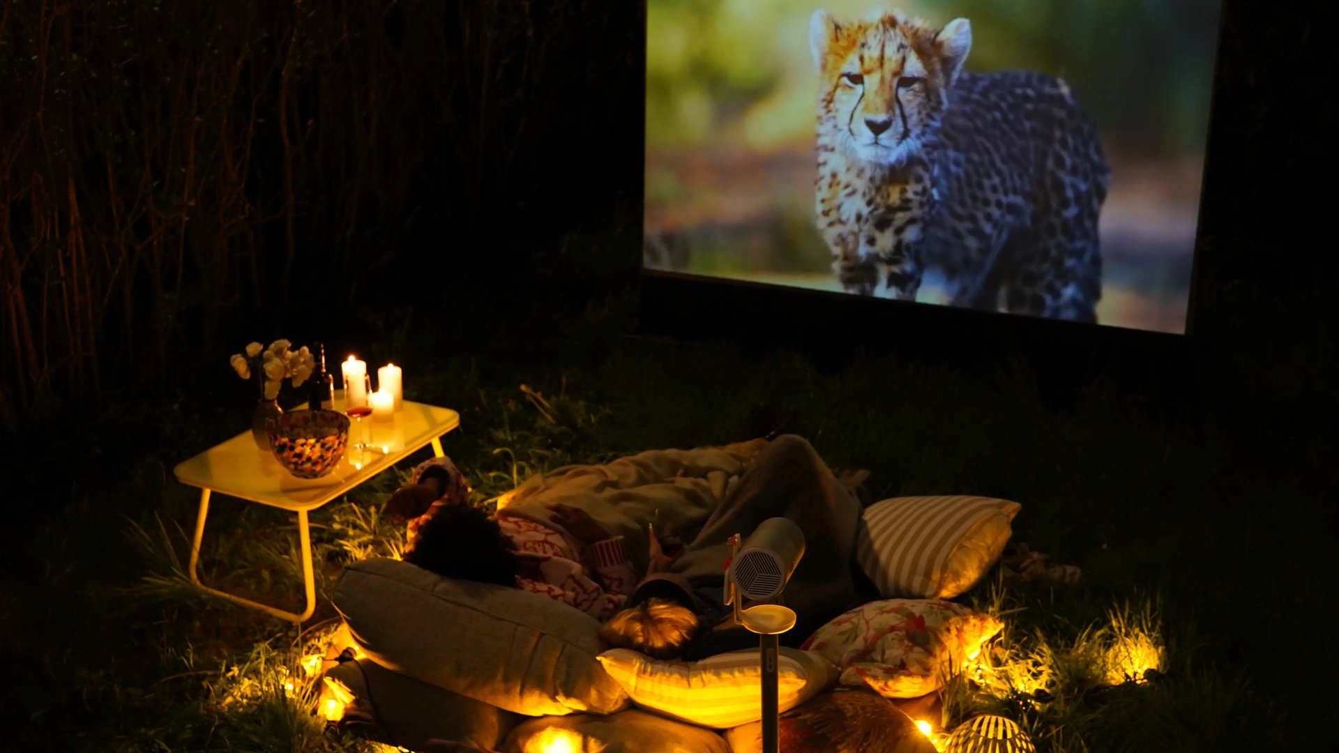 Gartenkino mit mobiler Leinwand — Cinema to Go outdoor