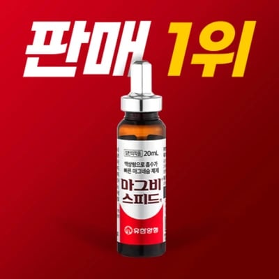 마그비