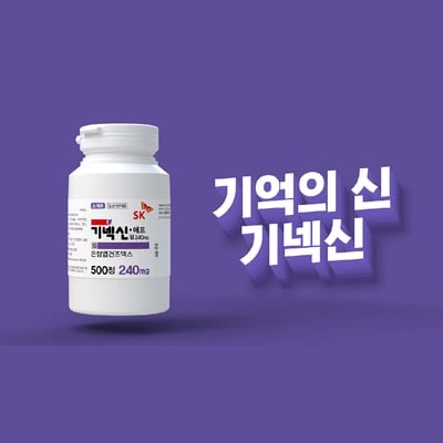기넥신