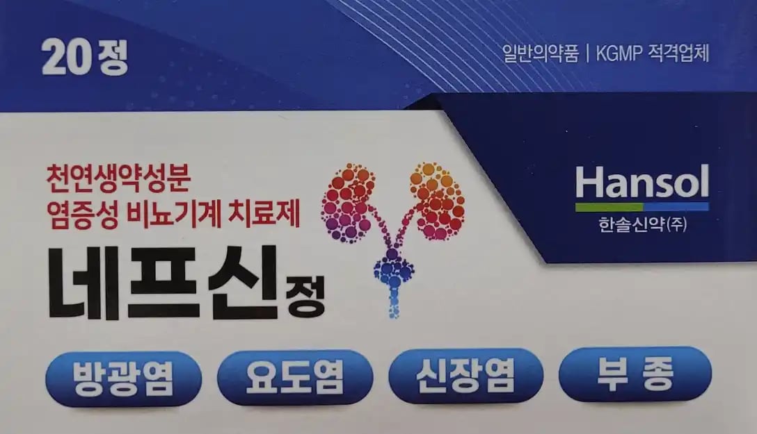 네프신정 20정