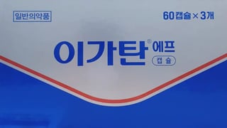 이가탄 에프 180캡슐