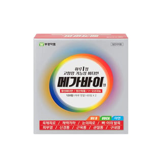 메가바이정 120정