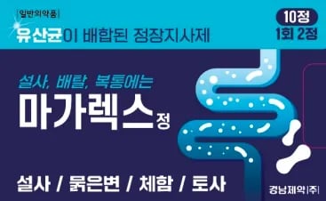 마가렉스정 10정