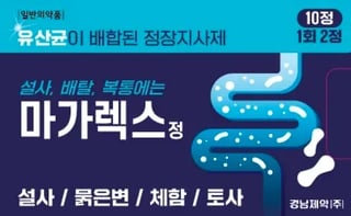 마가렉스정 10정