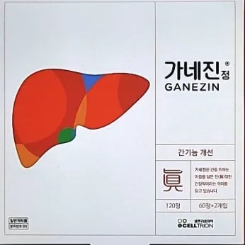 가네진 120정